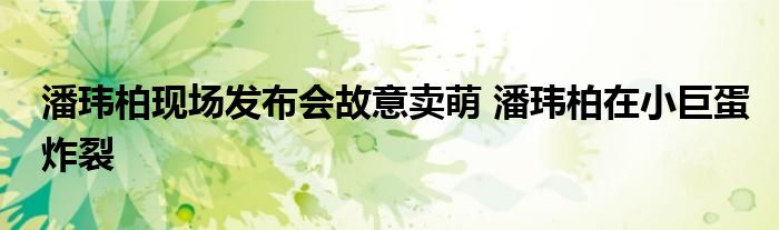 潘玮柏现场发布会故意卖萌 潘玮柏在小巨蛋炸裂