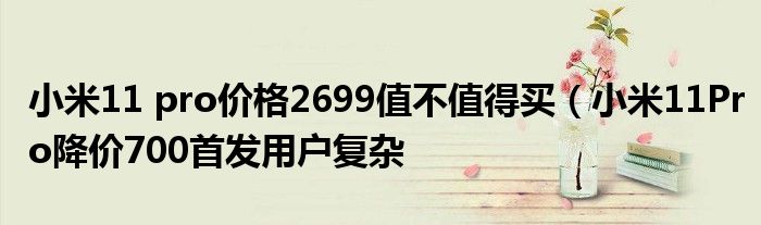 小米11 pro价格2699值不值得买(小米11Pro降价700首发用户复杂