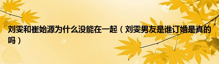 刘雯和崔始源为什么没能在一起(刘雯男友是谁订婚是真的吗)