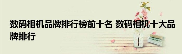 数码相机品牌排行榜前十名 数码相机十大品牌排行