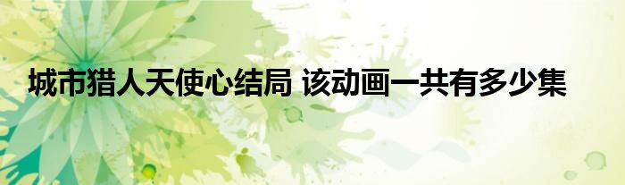 城市猎人天使心结局 该动画一共有多少集