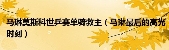 马琳莫斯科世乒赛单骑救主(马琳最后的高光时刻)