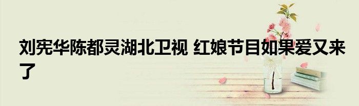 刘宪华陈都灵湖北卫视 红娘节目如果爱又来了