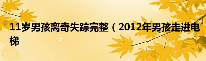 11岁男孩离奇失踪完整(2012年男孩走进电梯