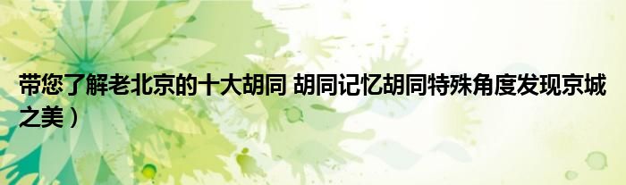 带您了解老北京的十大胡同 胡同记忆胡同特殊角度发现京城之美)