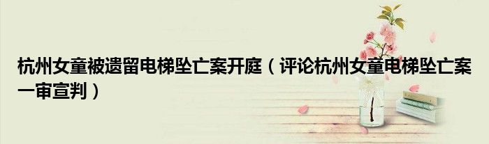 杭州女童被遗留电梯坠亡案开庭(评论杭州女童电梯坠亡案一审宣判)