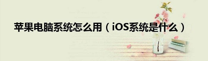 苹果电脑系统怎么用(iOS系统是什么)