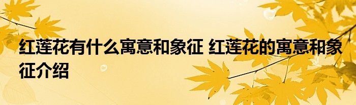 红莲花有什么寓意和象征 红莲花的寓意和象征介绍