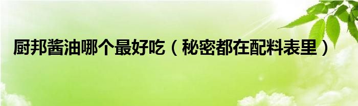 厨邦酱油哪个最好吃(秘密都在配料表里)