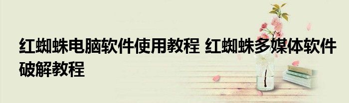 红蜘蛛电脑软件使用教程 红蜘蛛多媒体软件破解教程
