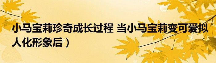 小马宝莉珍奇成长过程 当小马宝莉变可爱拟人化形象后)