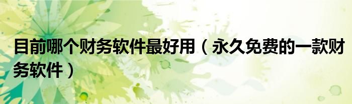 目前哪个财务软件最好用(永久免费的一款财务软件)
