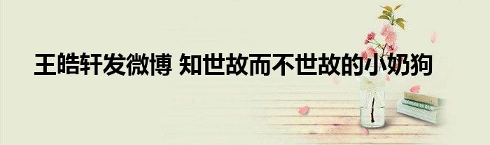 王皓轩发微博 知世故而不世故的小奶狗