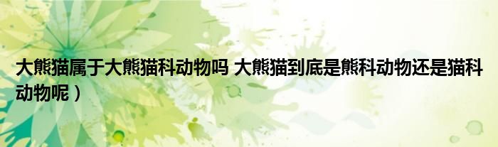 大熊猫属于大熊猫科动物吗 大熊猫到底是熊科动物还是猫科动物呢)