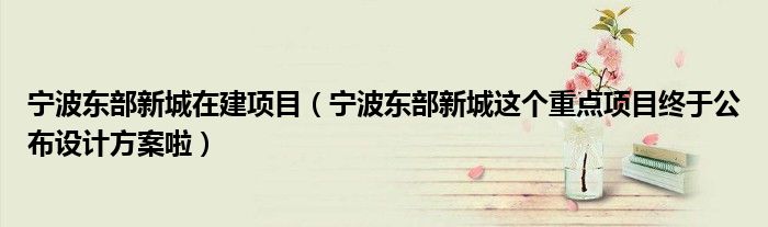 宁波东部新城在建项目(宁波东部新城这个重点项目终于公布设计方案啦)