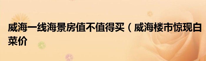 威海一线海景房值不值得买(威海楼市惊现白菜价
