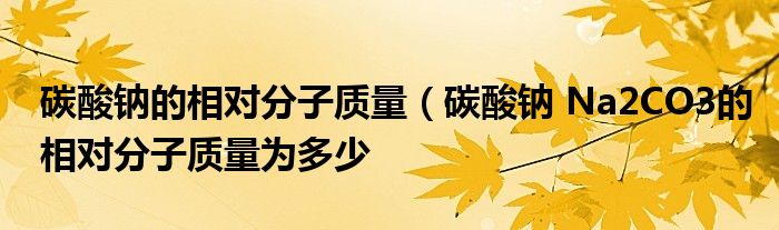 碳酸钠的相对分子质量(碳酸钠 Na2CO3的相对分子质量为多少