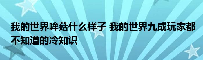 我的世界哞菇什么样子 我的世界九成玩家都不知道的冷知识