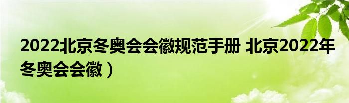 2022北京冬奥会会徽规范手册 北京2022年冬奥会会徽)