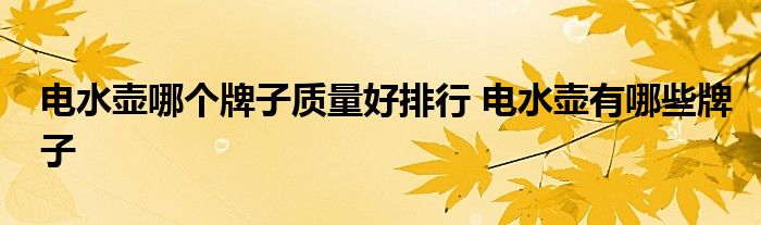 电水壶哪个牌子质量好排行 电水壶有哪些牌子