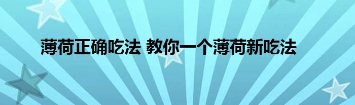 薄荷正确吃法 教你一个薄荷新吃法