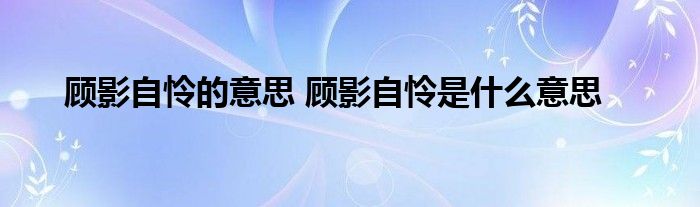 顾影自怜的意思 顾影自怜是什么意思