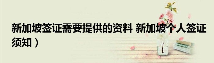 新加坡签证需要提供的资料 新加坡个人签证须知)