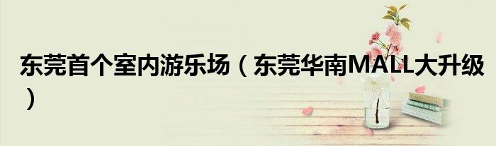 东莞首个室内游乐场(东莞华南MALL大升级)