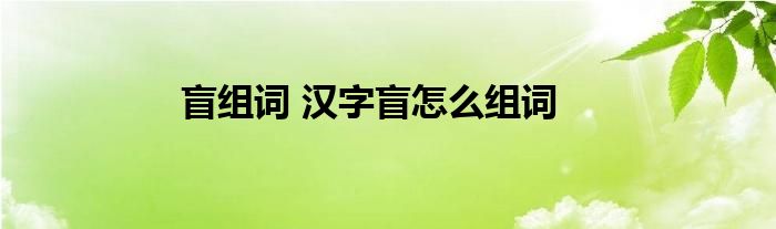 盲组词 汉字盲怎么组词