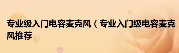 专业级入门电容麦克风(专业入门级电容麦克风推荐