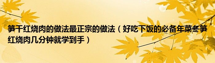 笋干红烧肉的做法最正宗的做法(好吃下饭的必备年菜冬笋红烧肉几分钟就学到手)