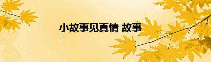 小故事见真情 故事