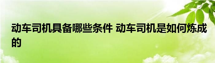 动车司机具备哪些条件 动车司机是如何炼成的