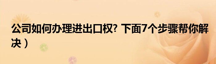公司如何办理进出口权? 下面7个步骤帮你解决)