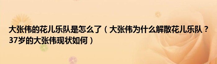大张伟的花儿乐队是怎么了(大张伟为什么解散花儿乐队?37岁的大张伟现状如何)