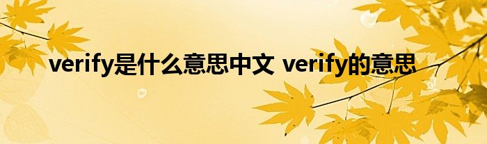 verify是什么意思中文 verify的意思