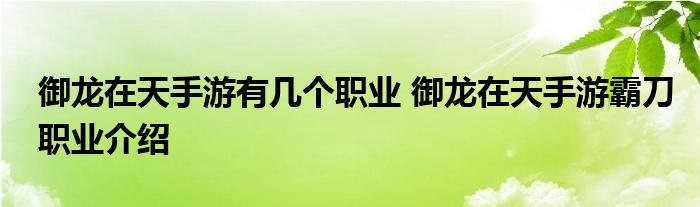 御龙在天手游有几个职业 御龙在天手游霸刀职业介绍