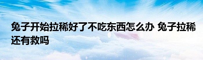 兔子开始拉稀好了不吃东西怎么办 兔子拉稀还有救吗