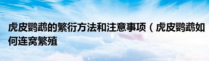 虎皮鹦鹉的繁衍方法和注意事项(虎皮鹦鹉如何连窝繁殖