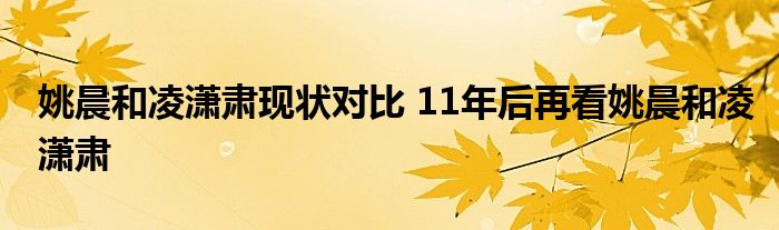 姚晨和凌潇肃现状对比 11年后再看姚晨和凌潇肃