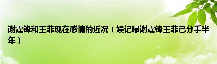 谢霆锋和王菲现在感情的近况(娱记曝谢霆锋王菲已分手半年)