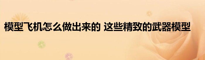 模型飞机怎么做出来的 这些精致的武器模型