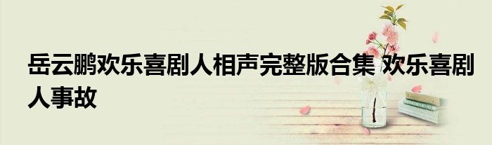 岳云鹏欢乐喜剧人相声完整版合集 欢乐喜剧人事故