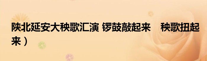 陕北延安大秧歌汇演 锣鼓敲起来 秧歌扭起来)