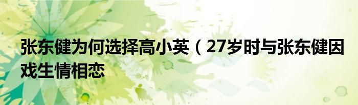 张东健为何选择高小英(27岁时与张东健因戏生情相恋