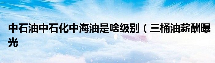 中石油中石化中海油是啥级别(三桶油薪酬曝光