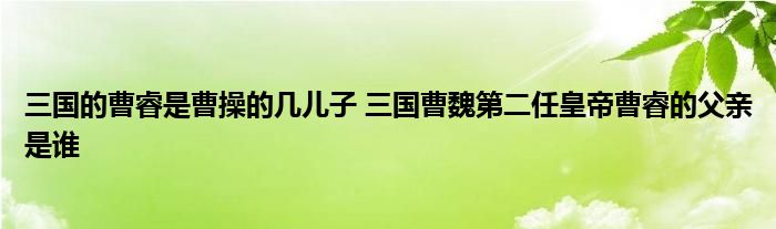 三国的曹睿是曹操的几儿子 三国曹魏第二任皇帝曹睿的父亲是谁