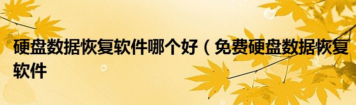 硬盘数据恢复软件哪个好(免费硬盘数据恢复软件