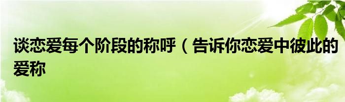 谈恋爱每个阶段的称呼(告诉你恋爱中彼此的爱称