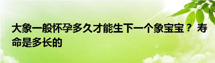 大象一般怀孕多久才能生下一个象宝宝? 寿命是多长的